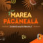Marea Păcăneală