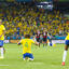 brazilia cupa mondiala 2014